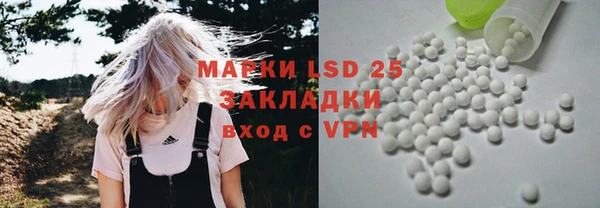 молекула духа Новодвинск