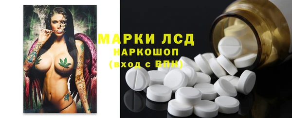 молекула духа Новодвинск