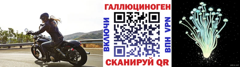 ссылка на мегу ONION  где купить наркоту  Луза  Галлюциногенные грибы мухоморы 